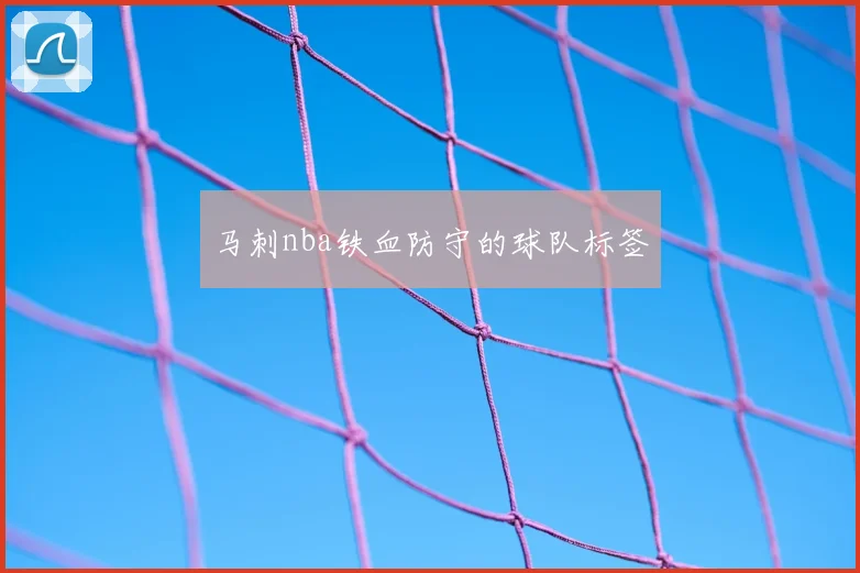 马刺nba铁血防守的球队标签
